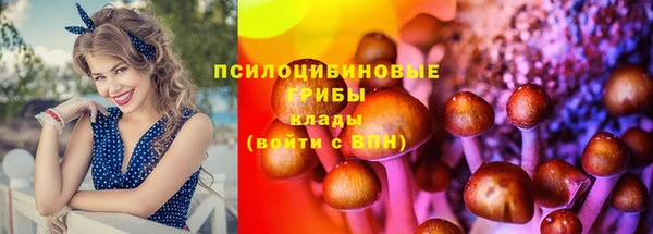 эйфоретик Абаза