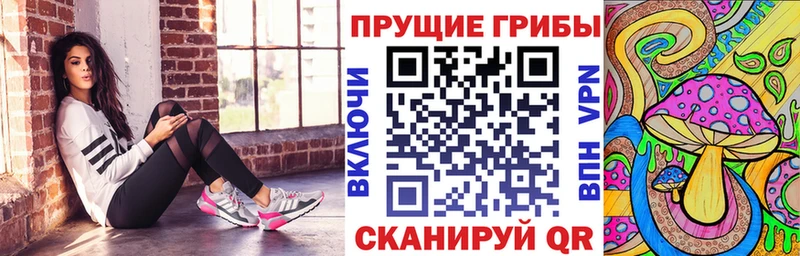 Галлюциногенные грибы мухоморы  ссылка на мегу зеркало  Владимир 